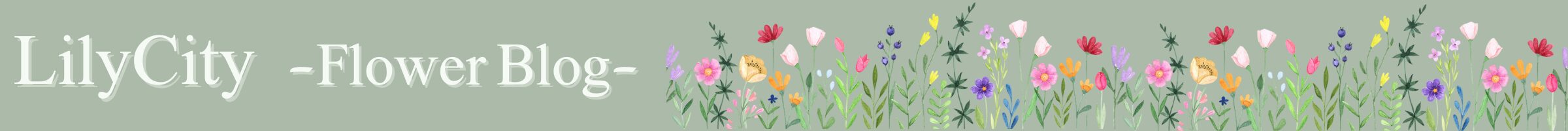 LilyCity