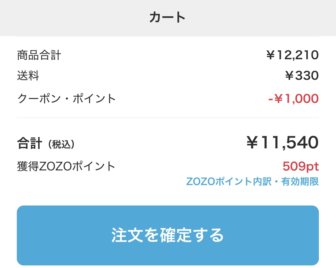 注文確定前の画面でショップ限定ポイント1,000円が適用された状態
